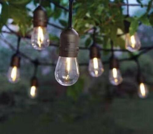 12-Light 24 ft. Indoor/Outdoor String Light with S14 Single Filament LED Bulbs