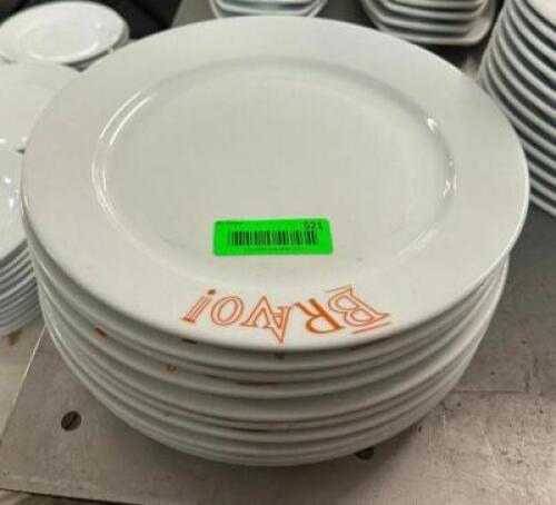 (10) 12" CHINA PLATES