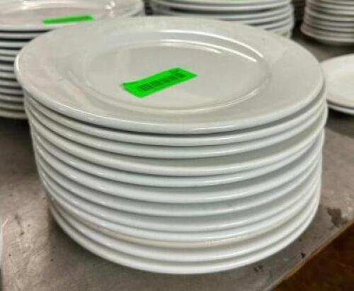 (12) 10" CHINA PLATES