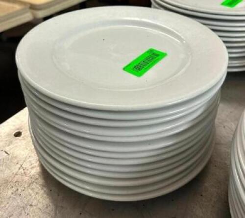 (12) 10" CHINA PLATES