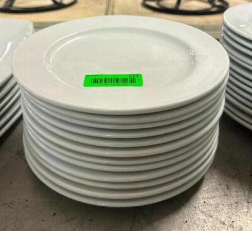 (12) 10" CHINA PLATES