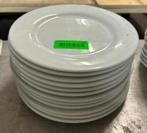 (12) 10" CHINA PLATES