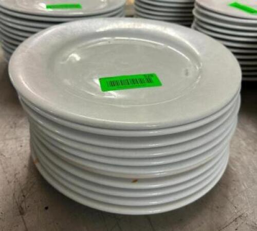 (12) 10" CHINA PLATES