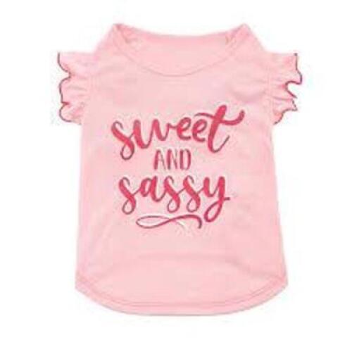 DESCRIPTION: (2) PET APPAREL BRAND/MODEL: VIBRANT LIFE INFORMATION: PINK, SWEET AND SASSY SIZE: MEDIUM RETAIL$: $9.17 EA QTY: 2