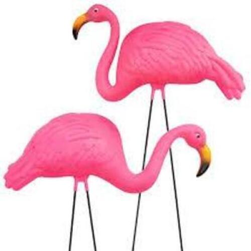 DESCRIPTION: (3) CASES OF (2) PINK FLAMINGOS RETAIL$: $16.99 EA QTY: 3