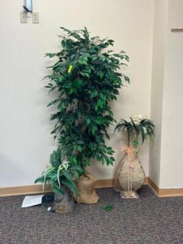 PLANT DECORATIONS
