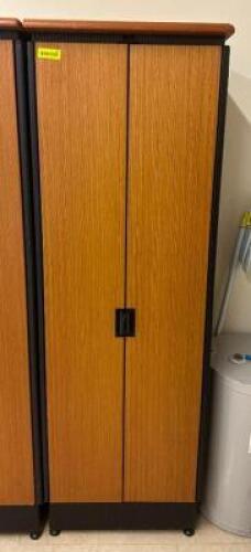 2-DOOR WOODEN/METAL CABINET
