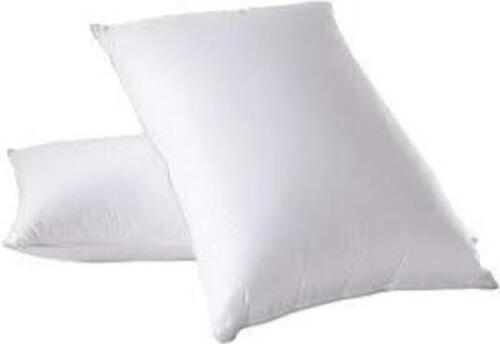 DESCRIPTION: (1) DOWN PILLOW SIZE: QUEEN RETAIL$: $199.00 EA QTY: 1