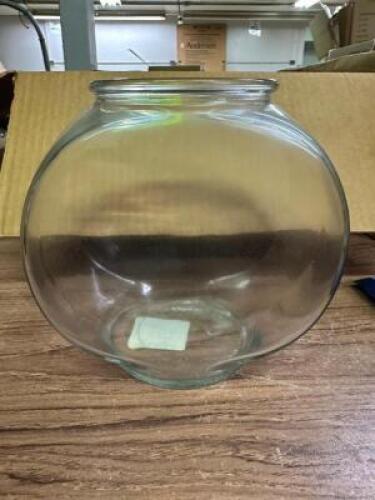 (6)- FISH BOWLS