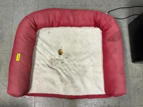 DOG BED
