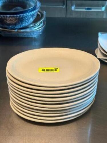 (12) - DINNER PLATES