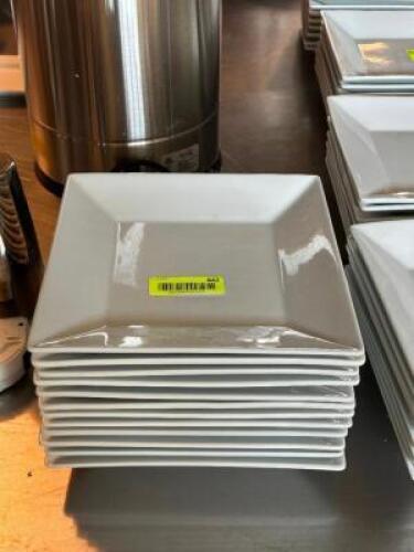 (12) - DINNER PLATES