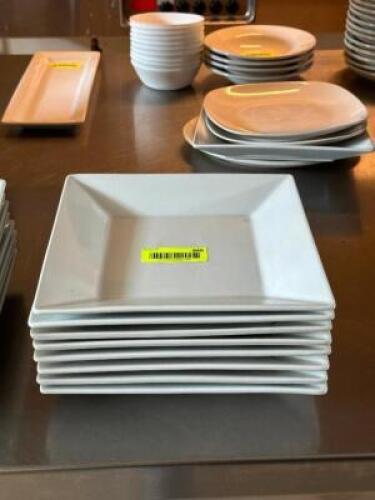 (8) - DINNER PLATES