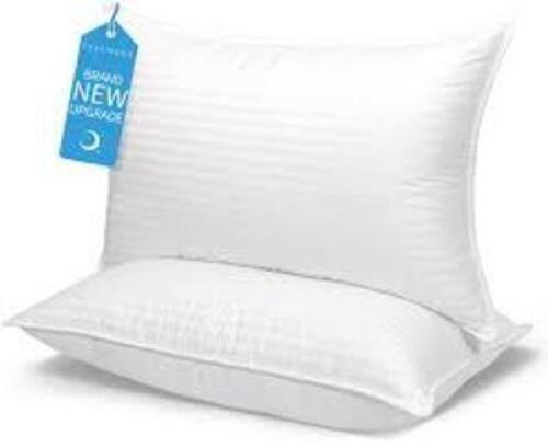 DESCRIPTION: (2) PILLOW BRAND/MODEL: SHUXIANG HAO SHUIMIAN SIZE: QUEEN / STANDARD RETAIL$: $16.14 EA QTY: 2