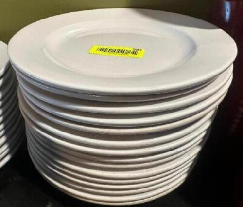 (12) ITI 10.5" CHINA PLATES