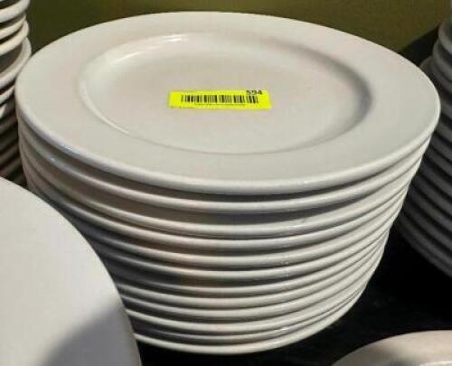 (12) ITI 10.5" CHINA PLATES