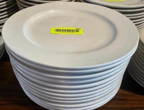 (12) ITI 10.5" CHINA PLATES