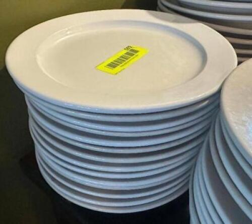 (14) 10" CHINA PLATES