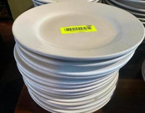(14) 10" CHINA PLATES