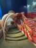54' X 30' HUMAN SKELETON WITH INTERACTIVE STATIONS AND SLIDE - 31