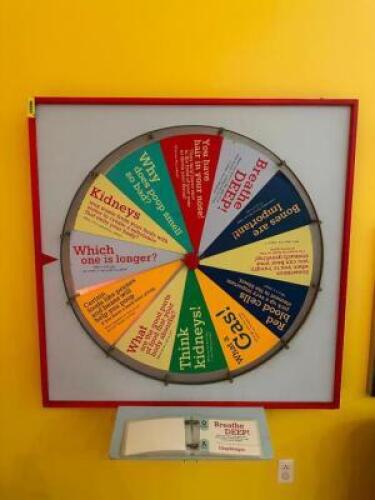 HUMAN BIOLOGY TRIVIA WHEEL