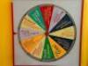 HUMAN BIOLOGY TRIVIA WHEEL - 3