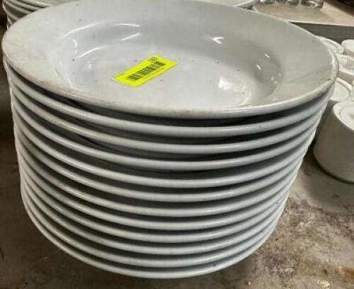 (12) 9.5" CHINA PLATES