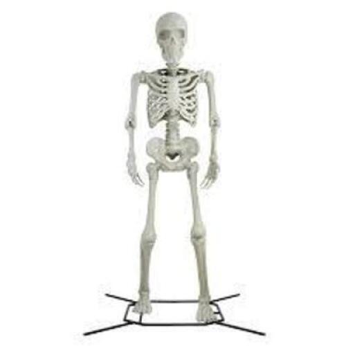 DESCRIPTION: (1) GIANT YARD SKELETON BRAND/MODEL: 2231-10442 SIZE: 10' RETAIL$: $299.99 EA QTY: 1