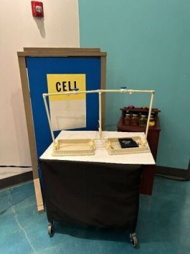 CELL AND LUNG DISPLAY SET UP WITH&nbsp;PODIUM
