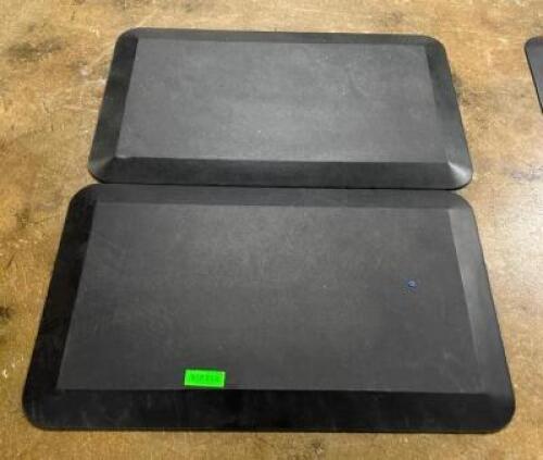 DESCRIPTION: (2) FOAM PADDED MATS SIZE: 34"X20" LOCATION: BOTTOM FLOOR QTY: 2
