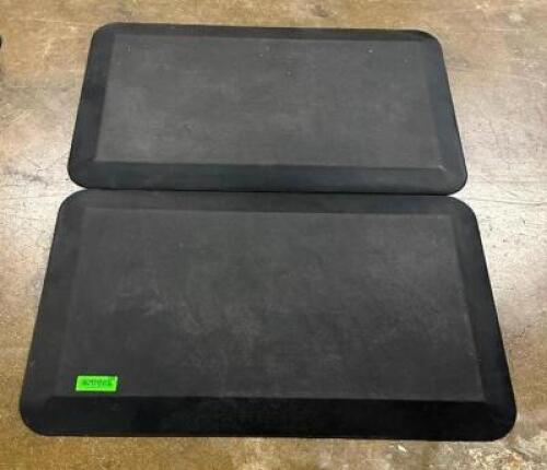 DESCRIPTION: (2) FOAM PADDED MATS SIZE: 34"X20" LOCATION: BOTTOM FLOOR QTY: 2