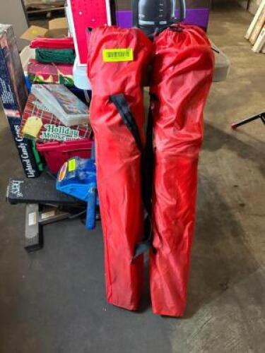 (2)- BAG CHAIRS