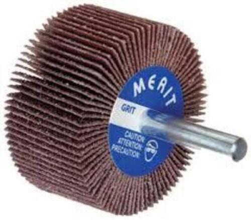 DESCRIPTION: (6) CASES OF (10) FLAP WHEELS BRAND/MODEL: 809775-02030 QTY: 6