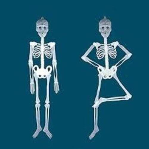 DESCRIPTION: (1) OUTDOOR DECOR LED SKELETON SIZE: 5FT RETAIL$: $15.99 EA QTY: 1