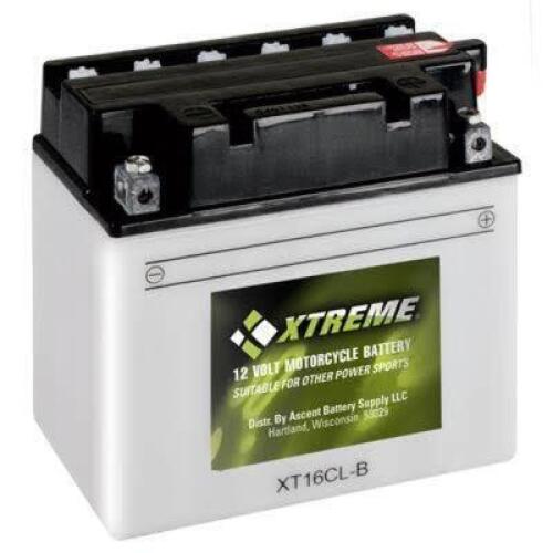 CYL30LBXT Xtreme High Performance 30L-B 12V 300CCA Flooded Powersport Battery
