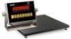 DESCRIPTION: (1) NTEP FLOOR SCALE BRAND/MODEL: PINNACLE SCALE #PS7000 INFORMATION: NO READ OUT INCLUDED. SIZE: 4' X 4' RETAIL$: $985.00 EA QTY: 1