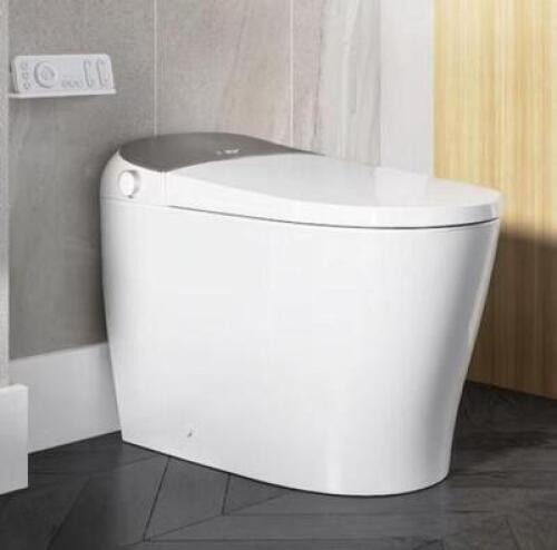 Tankless Elongated Smart Toilet Bidet in White with Auto Flush, Heated Seat, Warm Air Dryer, Bubble Infusion Wash