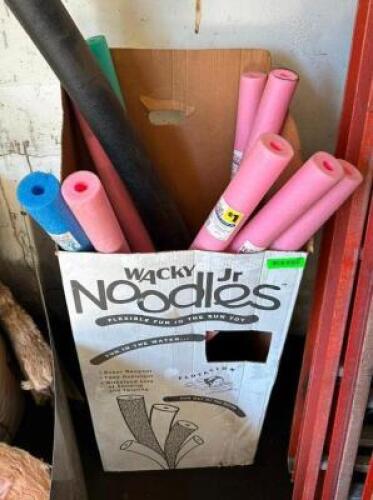 ASSORTED POOL NOODLES