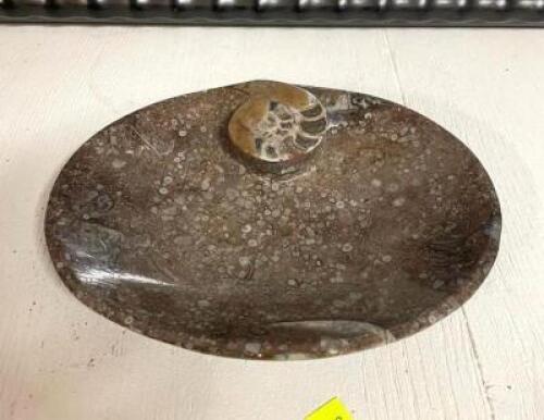 7" FOSSIL BOWL