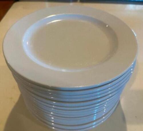 DESCRIPTION (12) 10.5" CHINA PLATES BRAND / MODEL: WORLD CHINA SIZE 10.5" THIS LOT IS: SOLD BY THE PIECE LOCATION ROOM 1 QTY 12