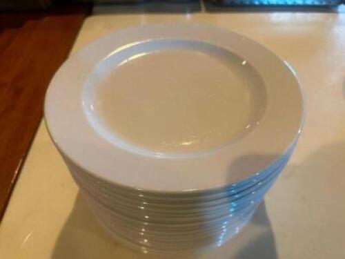 DESCRIPTION (12) 10.5" CHINA PLATES BRAND / MODEL: WORLD CHINA SIZE 10.5" THIS LOT IS: SOLD BY THE PIECE LOCATION ROOM 1 QTY 12