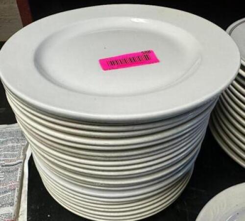 DESCRIPTION (22) 10" CHINA PLATES. SIZE 10" THIS LOT IS: SOLD BY THE PIECE LOCATION BASEMENT 1 QTY 22