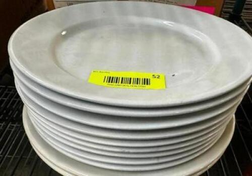 (8) 9.5" CHINA PLATES