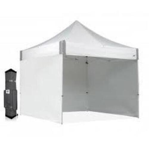 DESCRIPTION: (1) INSTANT SHELTER BRAND/MODEL: EZ UP #ES100S SIZE: 10' X 10' RETAIL$: $250.00 EA QTY: 1