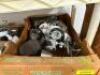 ASSORTED LIGHTING FIXTURES AND PARTS AS SHOWN - 5