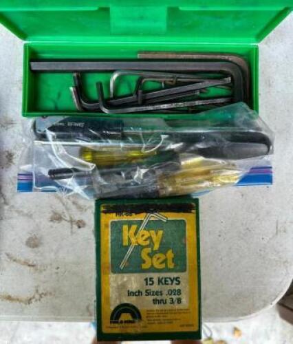 ASSORTED TYPES OF HEX KEYS