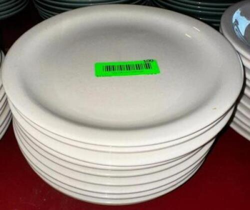 (10) 9.5" CHINA PLATES.