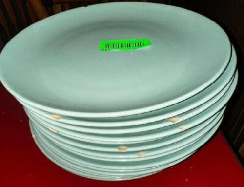 (10) 10.5" CHINA PLATES