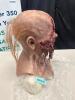 PROFESSIONAL SILICONE ZOMBIE MALE MASK - 5