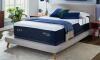 PLUSH HYBRID QUEEN MATTRESS